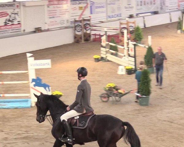 Reitturnier Gronau-Epe 2018