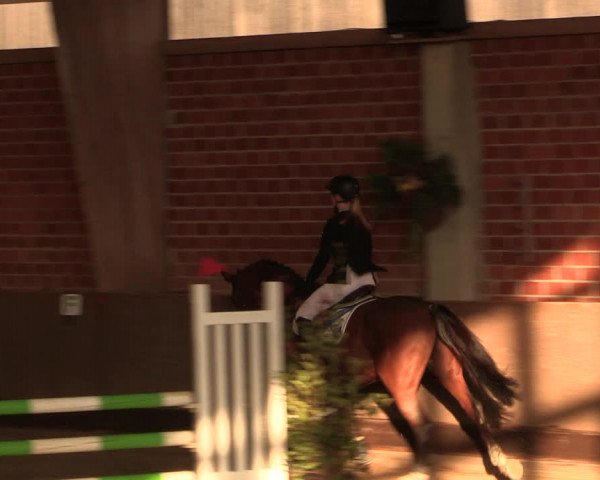 Reitturnier Hüllhorst 2018