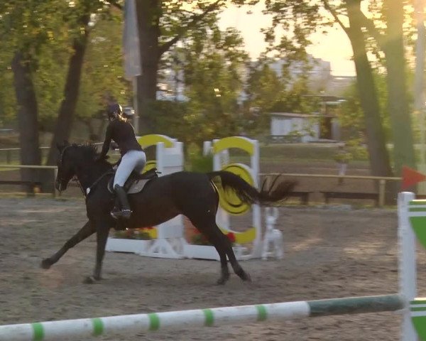 Reitturnier Greppin 2018