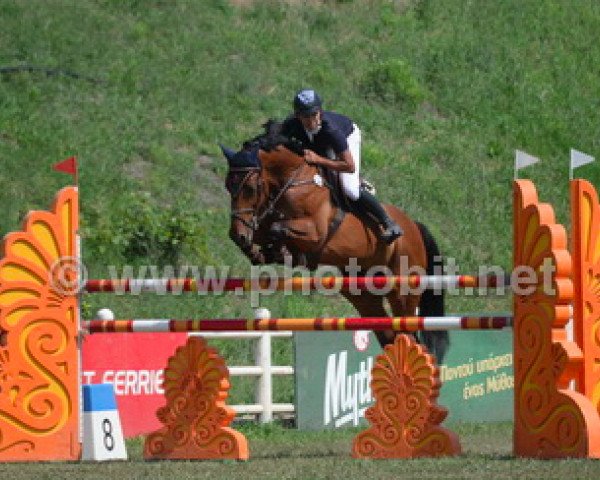 jumper Loon Illusion (Irish Sport Horse, 2006, from Obos Quality)