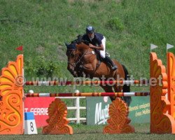 jumper Loon Illusion (Irish Sport Horse, 2006, from Obos Quality)