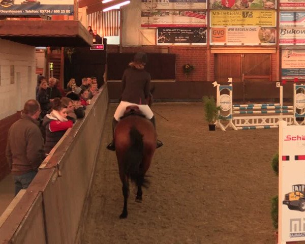 Reitturnier Hüllhorst 2018