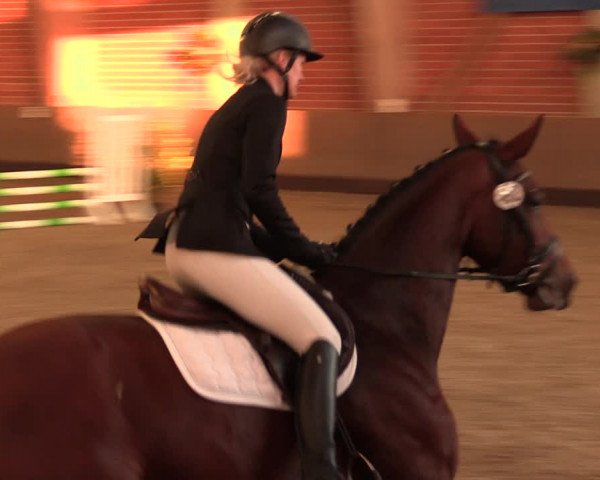 Reitturnier Hüllhorst 2018