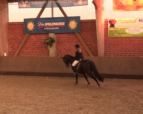 Reitturnier Hüllhorst 2018