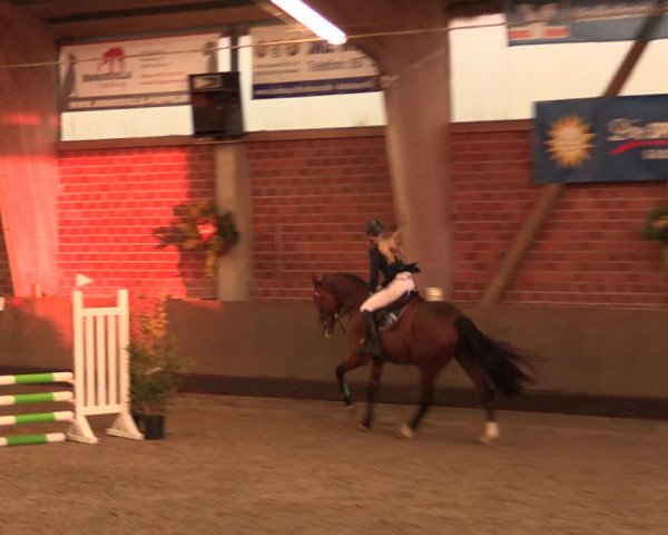 Reitturnier Hüllhorst 2018