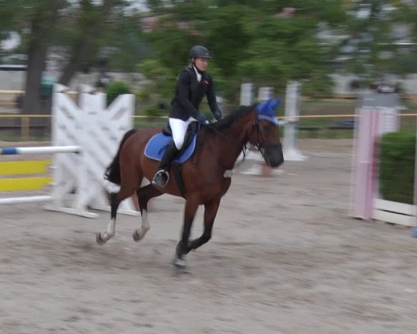 Reitturnier Greppin 2018
