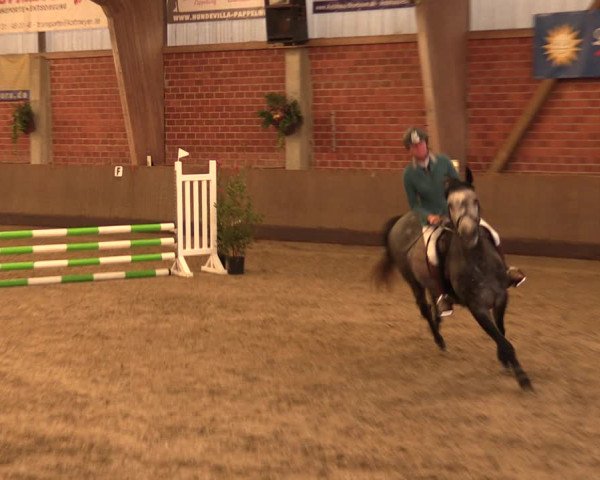 Reitturnier Hüllhorst 2018