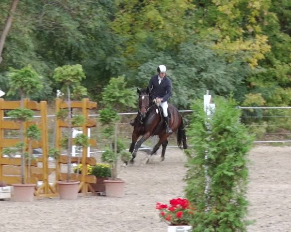 Reitturnier Greppin 2018