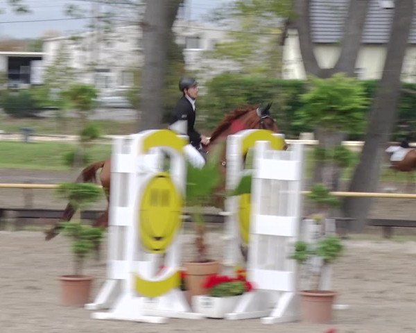 Reitturnier Greppin 2018