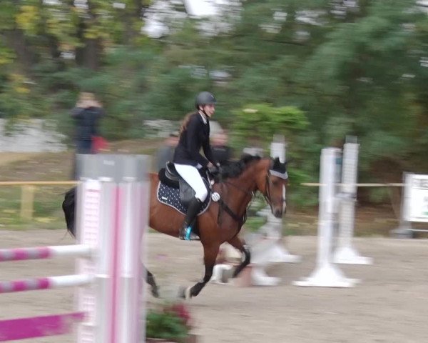 Reitturnier Greppin 2018