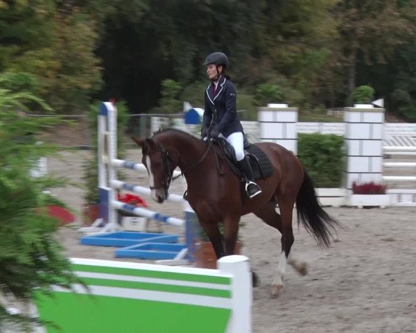 Reitturnier Greppin 2018