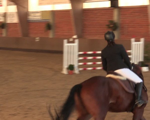Reitturnier Hüllhorst 2018