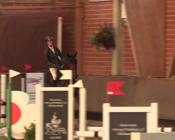 Reitturnier Hüllhorst 2018