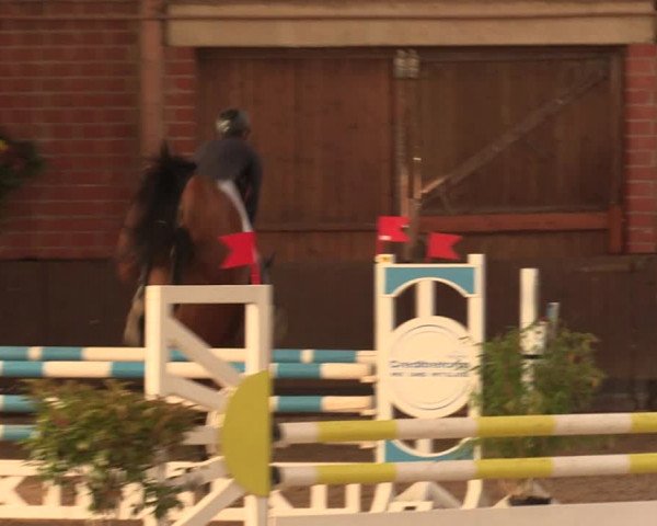 Reitturnier Hüllhorst 2018