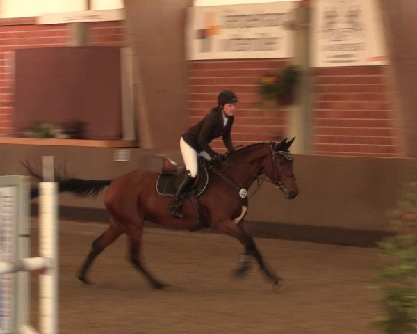 Reitturnier Hüllhorst 2018