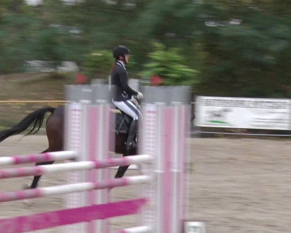 Reitturnier Greppin 2018