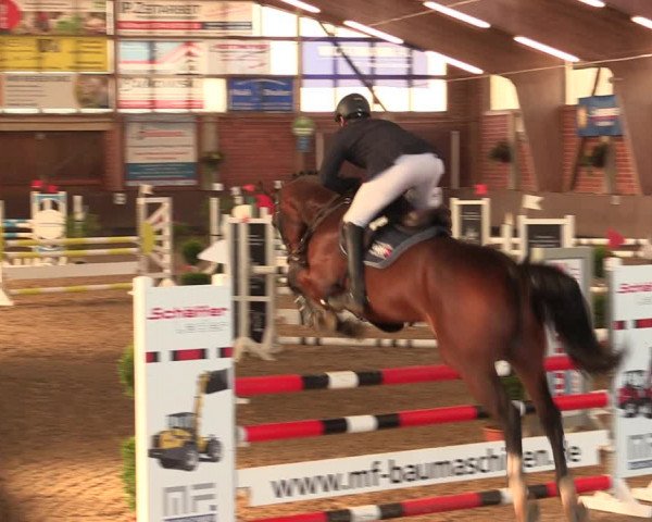 Reitturnier Hüllhorst 2018