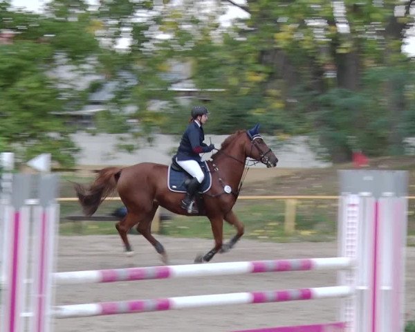 Reitturnier Greppin 2018