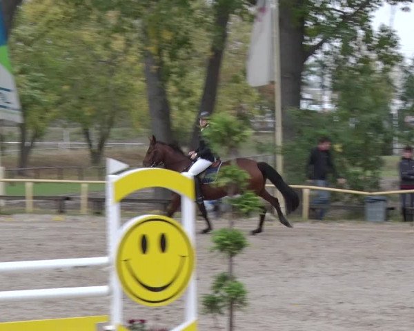 Reitturnier Greppin 2018