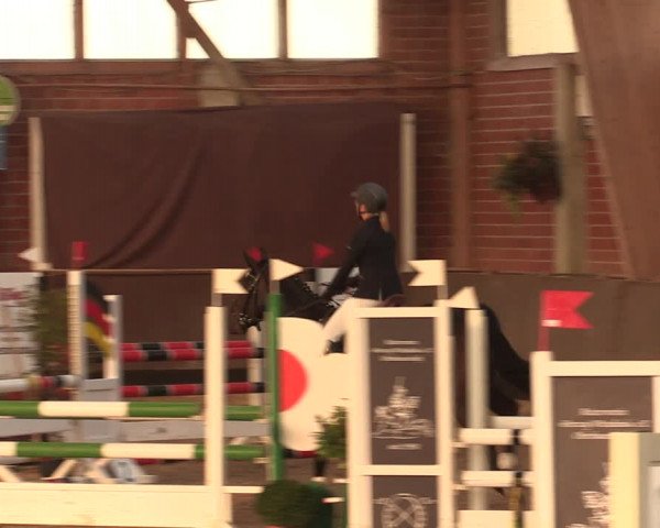 Reitturnier Hüllhorst 2018