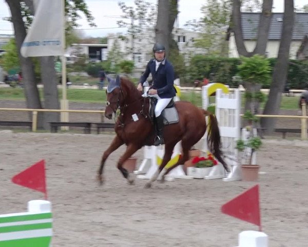 Reitturnier Greppin 2018