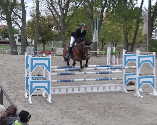 Reitturnier Greppin 2018