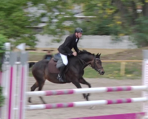 Reitturnier Greppin 2018