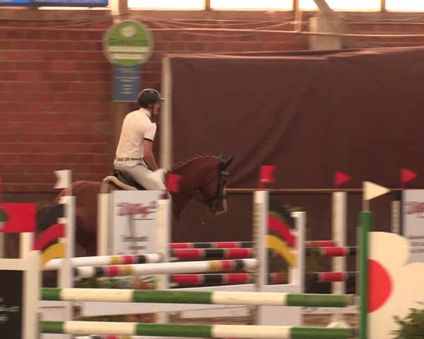 Reitturnier Hüllhorst 2018