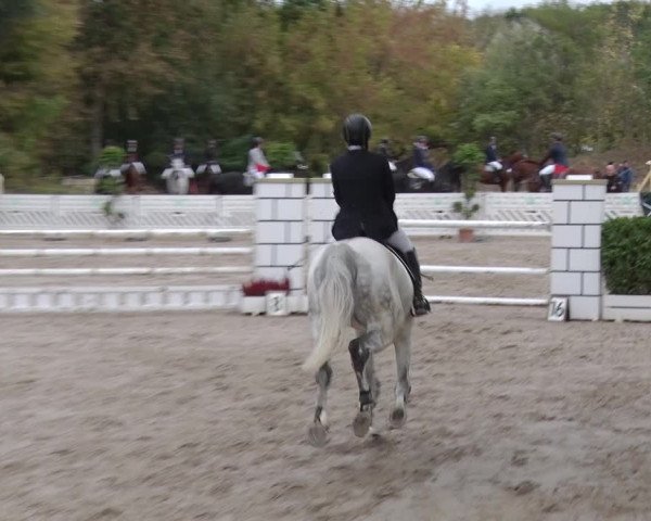 Reitturnier Greppin 2018