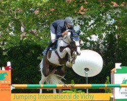 stallion Troubadour by Wisbecq (Selle Français, 2007, from Aiglon Rouge)