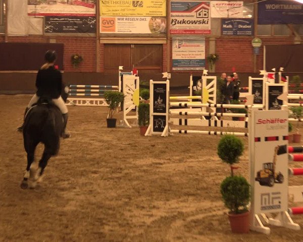 Reitturnier Hüllhorst 2018