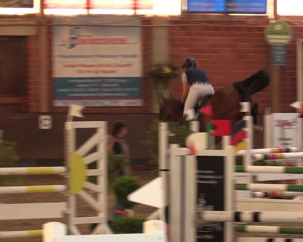 Reitturnier Hüllhorst 2018