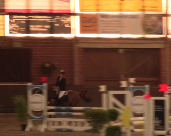 Reitturnier Hüllhorst 2018