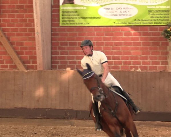 Reitturnier Hüllhorst 2018