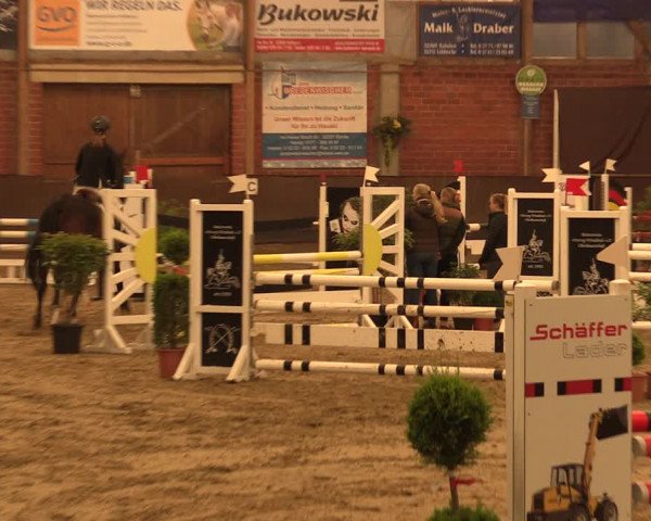 Reitturnier Hüllhorst 2018