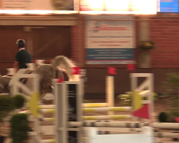 Reitturnier Hüllhorst 2018