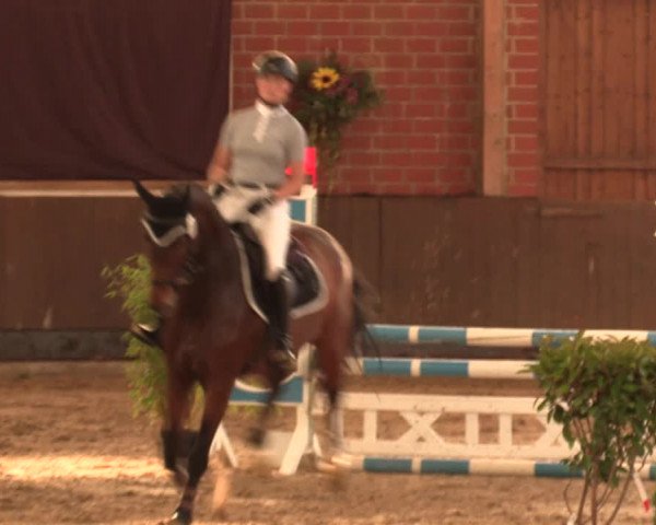 Reitturnier Hüllhorst 2018