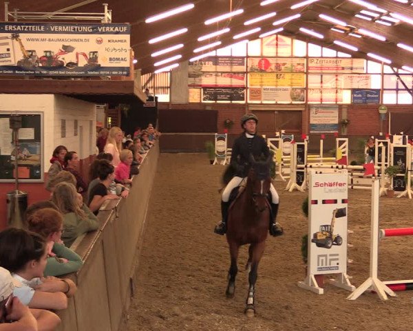 Reitturnier Hüllhorst 2018