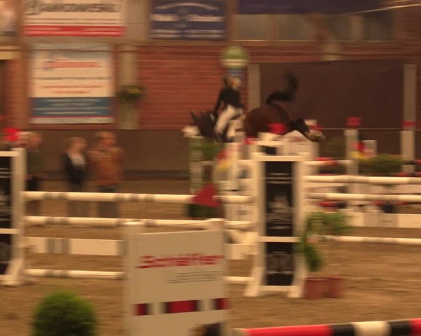 Reitturnier Hüllhorst 2018