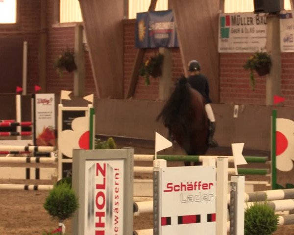 Reitturnier Hüllhorst 2018