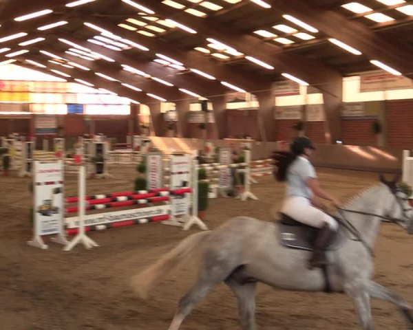 Reitturnier Hüllhorst 2018
