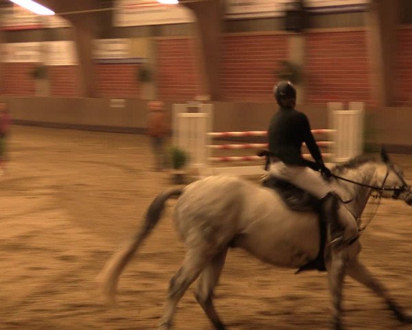 Reitturnier Hüllhorst 2018