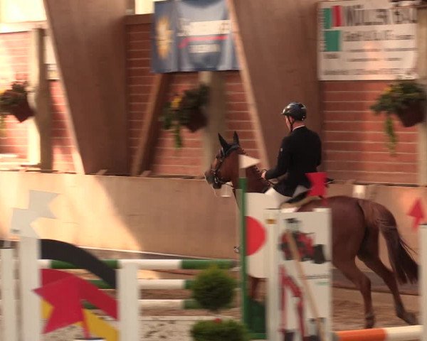 Reitturnier Hüllhorst 2018