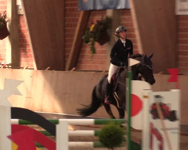 Reitturnier Hüllhorst 2018