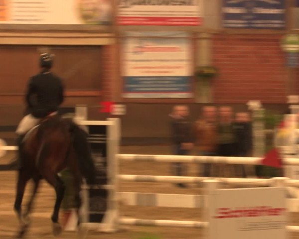 Reitturnier Hüllhorst 2018