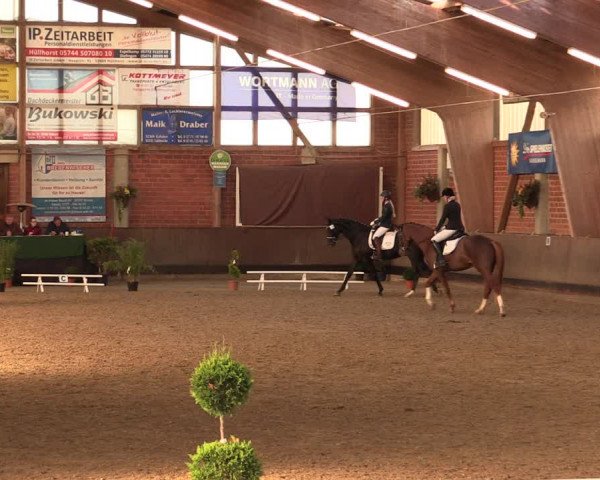 Reitturnier Hüllhorst 2018