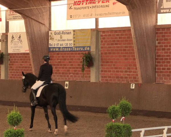 Reitturnier Hüllhorst 2018
