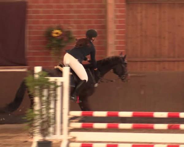 Reitturnier Hüllhorst 2018