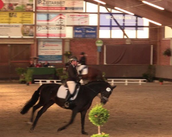 Reitturnier Hüllhorst 2018