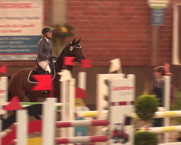 Reitturnier Hüllhorst 2018